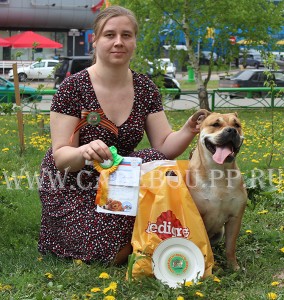 cadebou, ca de bou, perro dogo mallorquin - ,  2014.     ,   9 