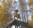 кадебо, ка де бо, перро дого майоркин - На дрес. площадке! На прогулке у дома. 12 Октября кадебо, ка де бо, перро дого майоркин - На дрес. площадке! На прогулке у дома. 12 Октября