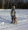 перро дого майоркин, ка де бо, кадебо - На прогулке в лесу. 3 Января перро дого майоркин, ка де бо, кадебо - На прогулке в лесу. 3 Января