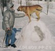 кадебо, ка де бо, перро дого майоркин - Уилис на вершинке.))) 1 февраля 2006 кадебо, ка де бо, перро дого майоркин - Уилис на вершинке.))) 1 февраля 2006