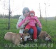 перро дого майоркин, ка де бо, кадебо - Девушки на прогулке. 27 Апреля 2008 перро дого майоркин, ка де бо, кадебо - Девушки на прогулке. 27 Апреля 2008
