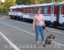 ка де бо, кадебо, перро дого майоркин - Гавиота около детской железной дороги, Санкт-Петербург. 27 июня 2008 ка де бо, кадебо, перро дого майоркин - Гавиота около детской железной дороги, Санкт-Петербург. 27 июня 2008