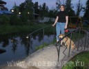 ка де бо, кадебо, перро дого майоркин - Киря у гостиницы, Санкт-Петербург. 28 июня 2008 ка де бо, кадебо, перро дого майоркин - Киря у гостиницы, Санкт-Петербург. 28 июня 2008