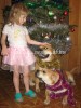кадебо, ка де бо, перро дого майоркин - Кира с Дори. Конец декабря 2009 кадебо, ка де бо, перро дого майоркин - Кира с Дори. Конец декабря 2009