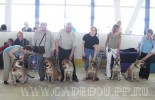 ка де бо, кадебо, перро дого майоркин - Гавиота на Белые Ночи 2008. Слева направо - Ориент, Виолетта, Лорд, Гавиота, Клеоника и Забар. Санкт-Петербург. 28 июня 2008 ка де бо, кадебо, перро дого майоркин - Гавиота на Белые Ночи 2008. Слева направо - Ориент, Виолетта, Лорд, Гавиота, Клеоника и Забар. Санкт-Петербург. 28 июня 2008