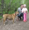 кадебо, перро дого майоркин, ка де бо - Гавиота в весеннем лесу. 9 мая 2009 кадебо, перро дого майоркин, ка де бо - Гавиота в весеннем лесу. 9 мая 2009