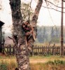 ка де бо, перро дого майоркин, кадебо - Ка де бо Белла в деревне за любимым занятием - лазанье по деревьям (Июль 2002 ка де бо, перро дого майоркин, кадебо - Ка де бо Белла в деревне за любимым занятием - лазанье по деревьям (Июль 2002