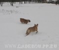 ����� ���� ��������, ������, �� �� �� - �� ��������, 16-11-2007