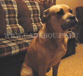 �� �� ��, ������, ����� ���� �������� - ������. 31-10-2004