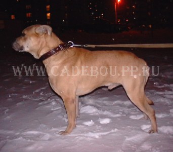 ������, �� �� ��, ����� ���� �������� - ��, ��� ��� ����?! 24 �������