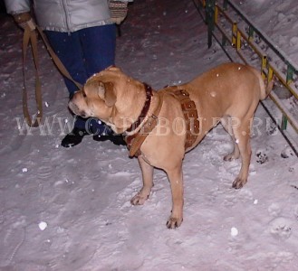 ������, �� �� ��, ����� ���� �������� - � � ��������! 28 �������