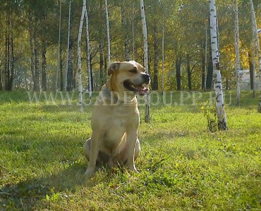 �� �� ��, ������, ����� ���� �������� - �� �������� � ��������. 30 ��������