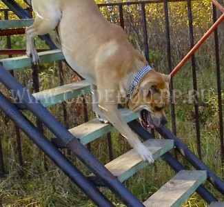 ����� ���� ��������, �� �� ��, ������ - �� ����. �������� - ���� �� ��������!  12 �������