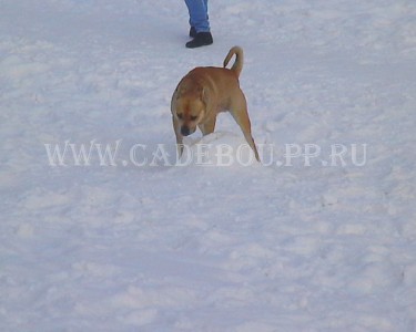 ����� ���� ��������, �� �� ��, ������ - ���������� �����! 16 �������