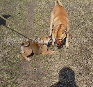 ����� ���� ��������, �� �� ��, ������ - �������� ��?! ���������� � �����. 27 ������