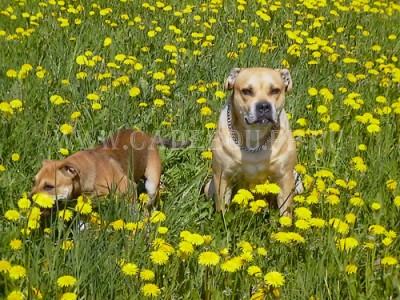 ������, ����� ���� ��������, �� �� �� - ���� ����� �� �����, � � ���� ������. 25 ���