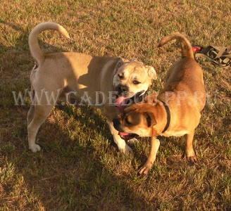 ������, �� �� ��, ����� ���� �������� - ���� � ��� �� �������� � ��������. 24 ����. ������� ����� �� �����!