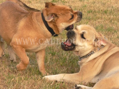 ������, ����� ���� ��������, �� �� �� - ���� � ��� �� �������� � ��������. 24 ����. ������� ����� �� �����!