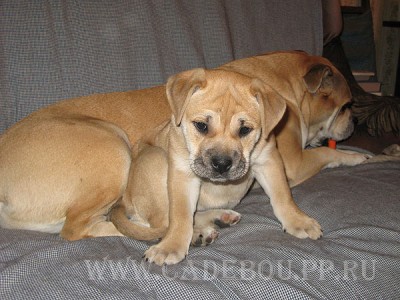 ����� ���� ��������, �� �� ��, ������ - ������� � ����������� - ������ ������� �����, 10 ���� 2007 ����