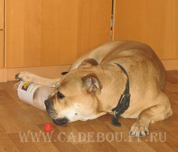 ������, ����� ���� ��������, �� �� �� - ������� ��������� ������). 3 ���� 2008