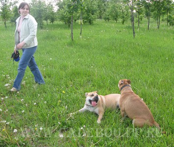 �� �� ��, ����� ���� ��������, ������ - ��, ������ ��������!. 6 ���� 2008