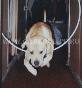 �� �� ��, ����� ���� ��������, ������ - �������� - ������ ����� ����� (6-7 �������)