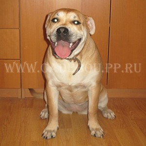 ����� ���� ��������, �� �� ��, ������ - ���� ����. 12 ������� 2009