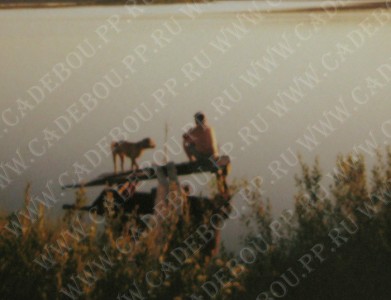 ����� ���� ��������, ������, �� �� �� - ���� �� �������, ���� 2002