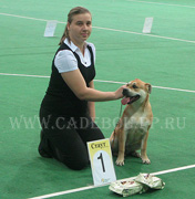 ка де бо Мьедо Дель Торо Андорина ЛЩ Моно 2009 ка де бо Мьедо Дель Торо Андорина ЛЩ Моно 2009