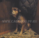 ca de bou, cadebou, perro dogo mallorquin. ca-de-bou Bel Skay Anabella