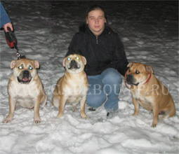 ca de bou, owner of kennel Miedo del Toro ca de bou, owner of kennel Miedo del Toro