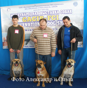 ка де бо Miedo Del Toro Almanzor Feliz ка де бо Miedo Del Toro Almanzor Feliz