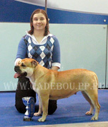 ка де бо Коллекция Золотой Лисы Ежевика Чемпион Евразии 2009